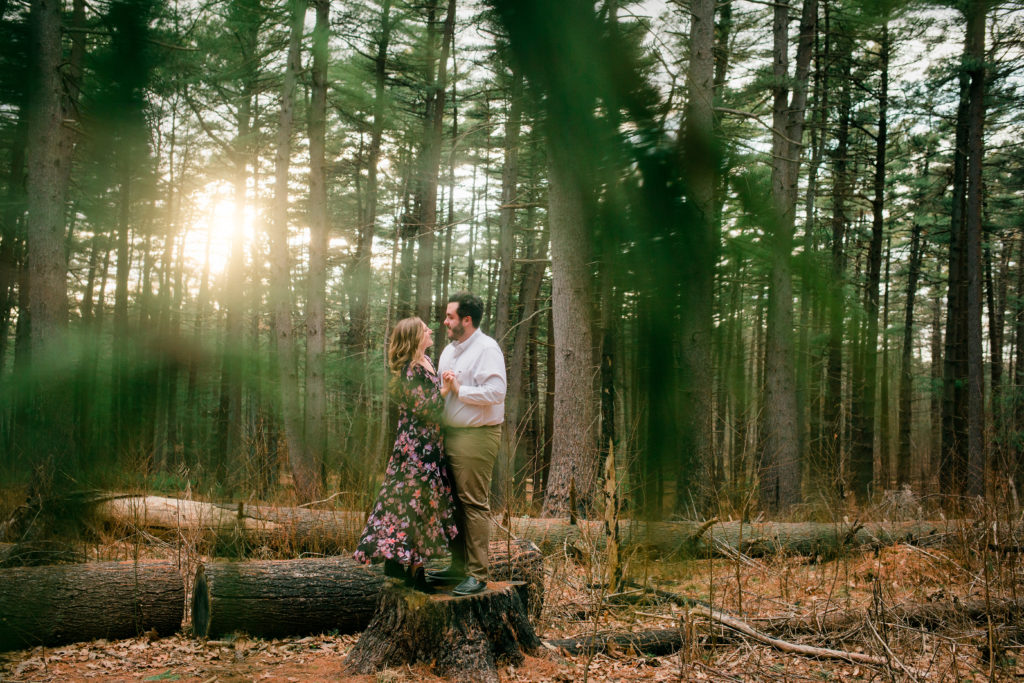 Engaged couple at sunset in Prosser Pines, NY