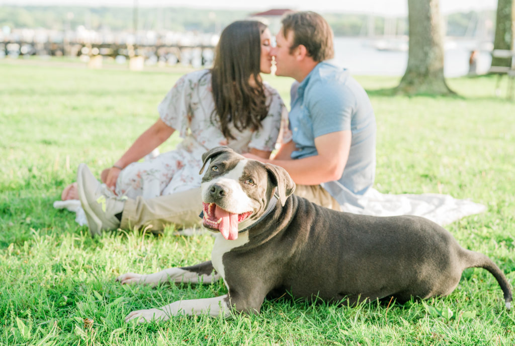 Long Island Engagement Photography with Dog