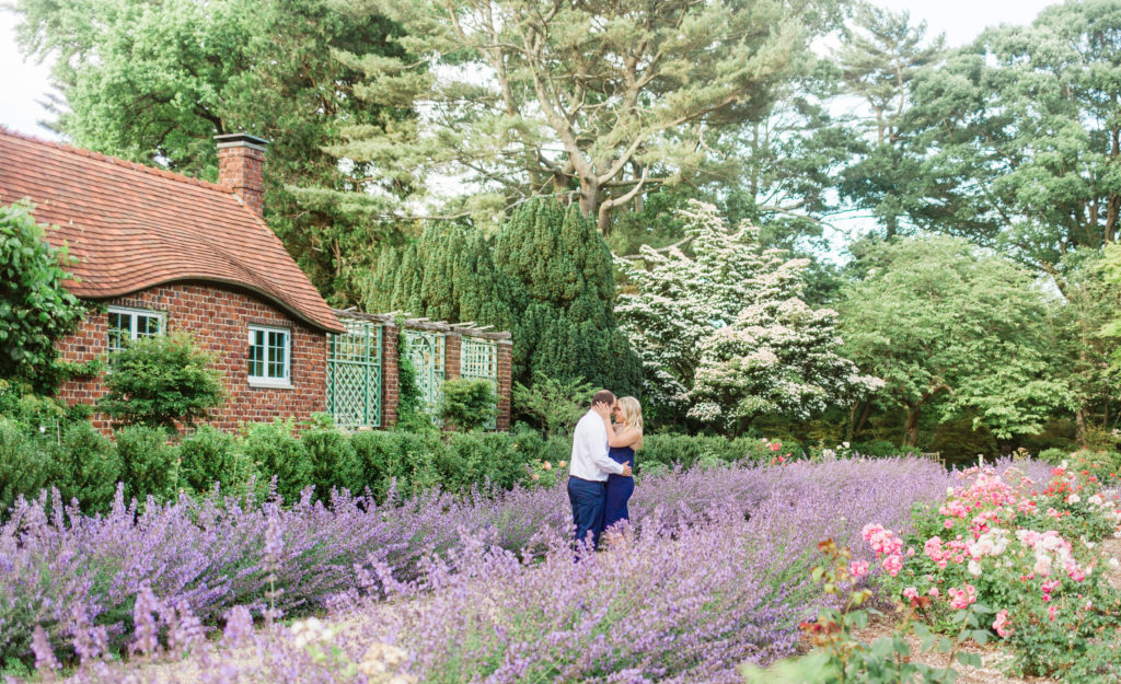 Lavender at Planting Fields Arboretum, Long Island Engagement Photographer